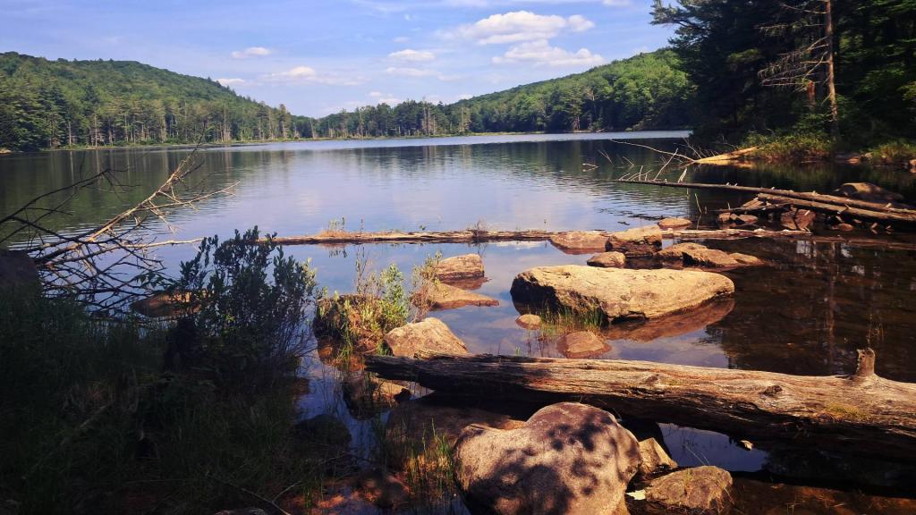 Photo: From the North End of the Pond [Expires July 27 2026]