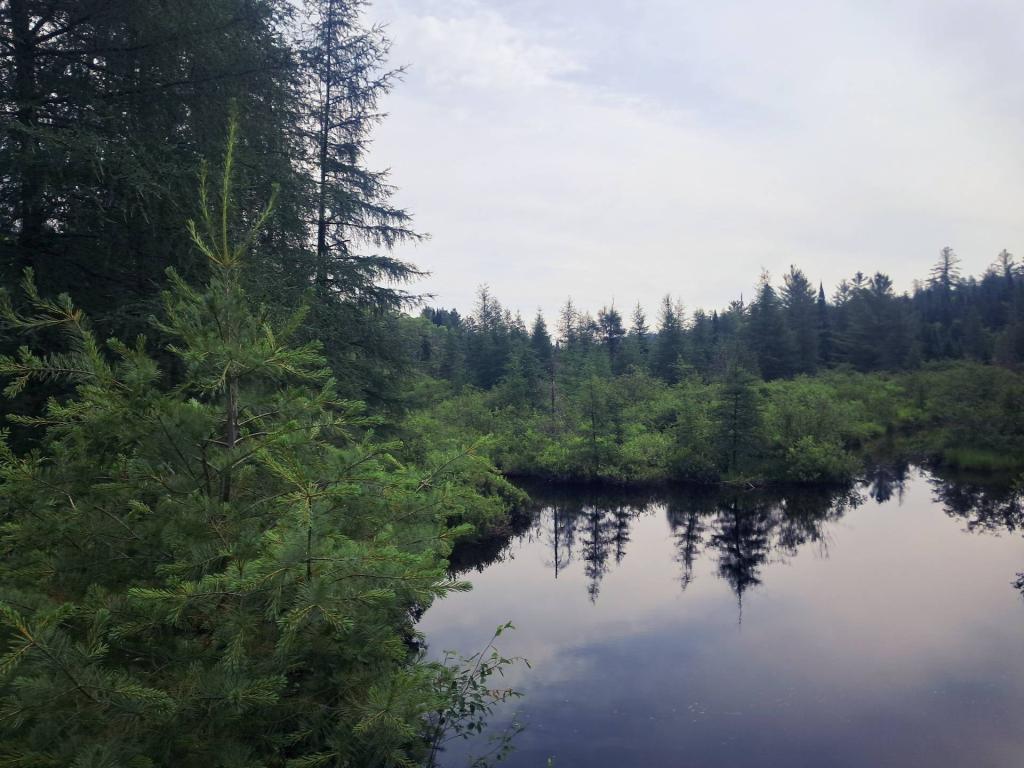 Photo: The Red River [Expires July 27 2026]