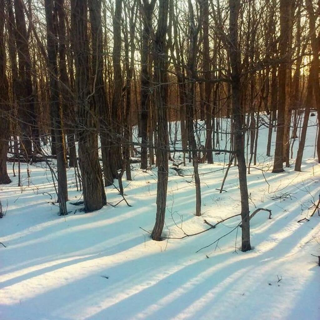 Photo: Five o'clock shadow