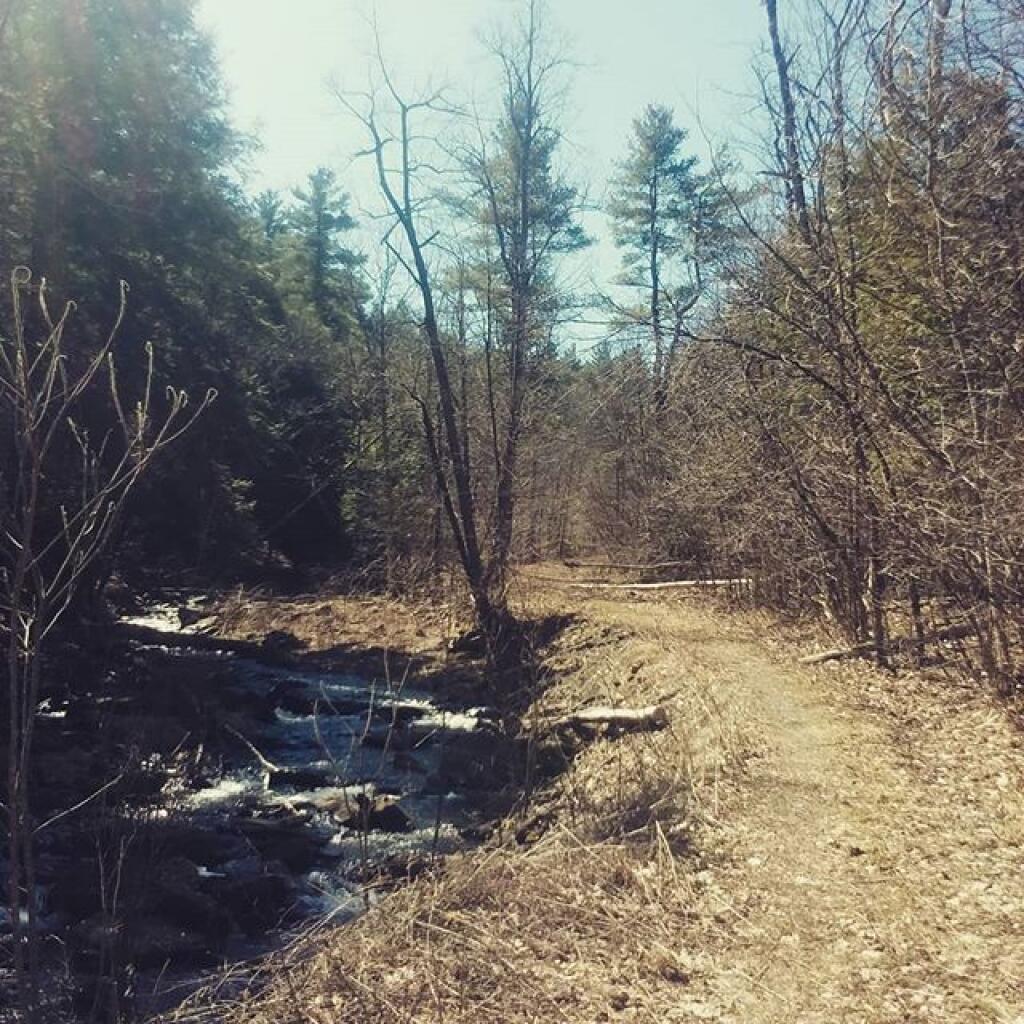 Photo: Sunny but cold