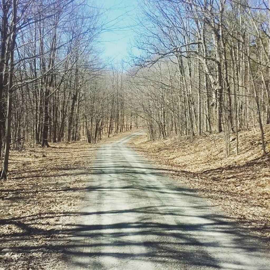 Photo: Nice early spring day