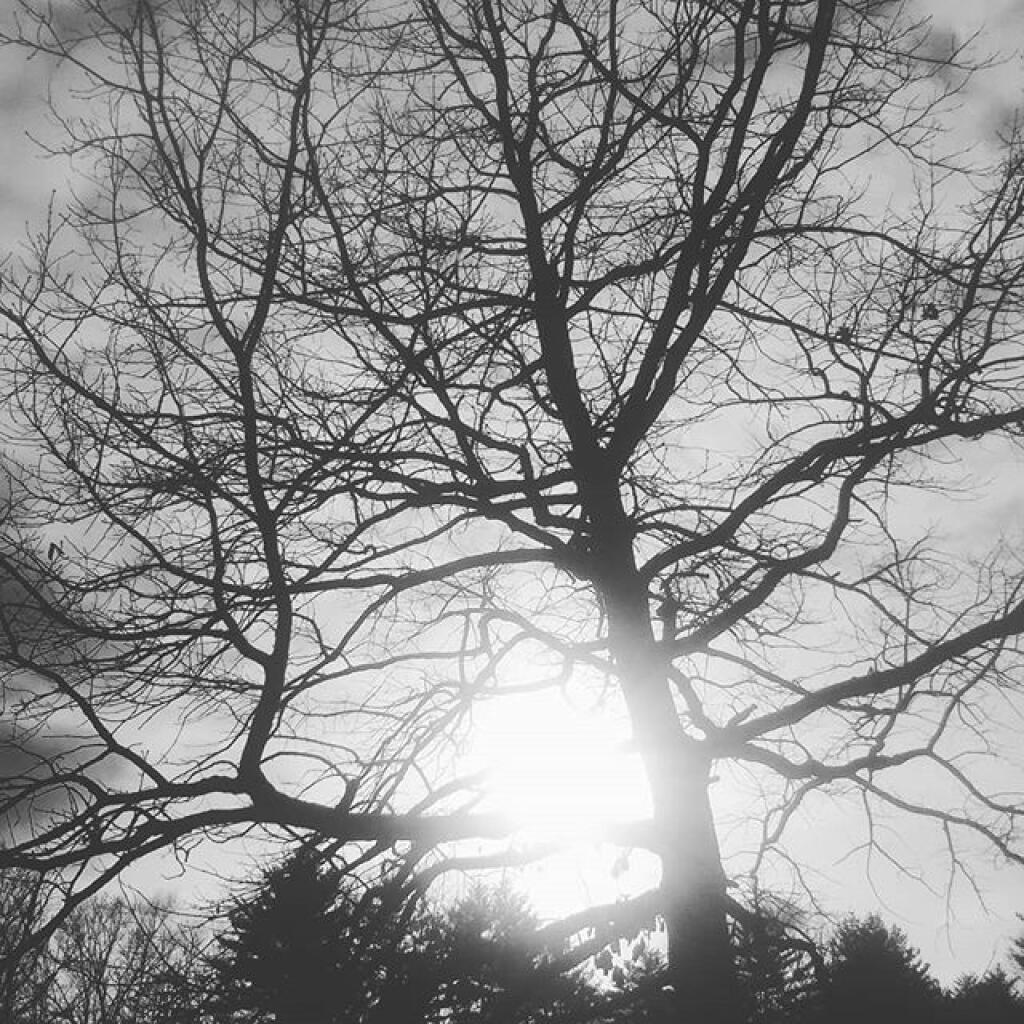 Photo: Sunshine