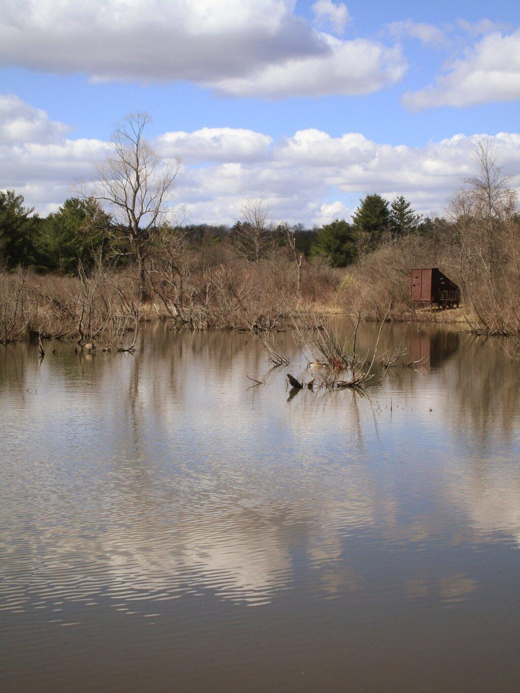 Photo: Nice Early Spring Day
