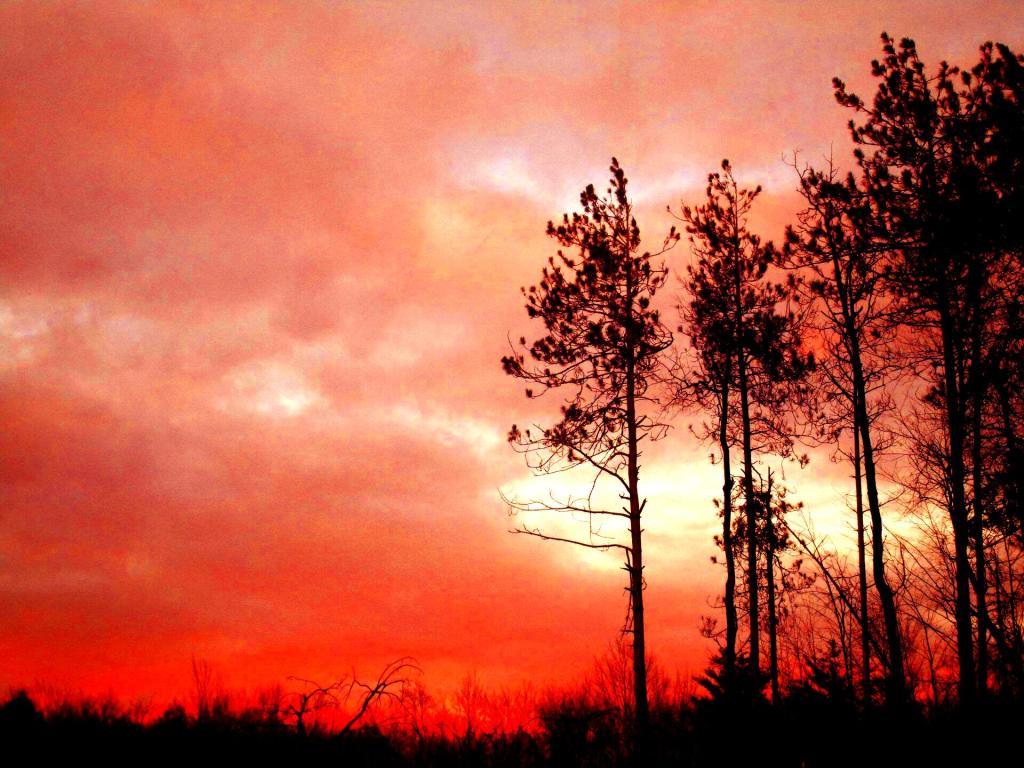 Photo: Pretty Sunset