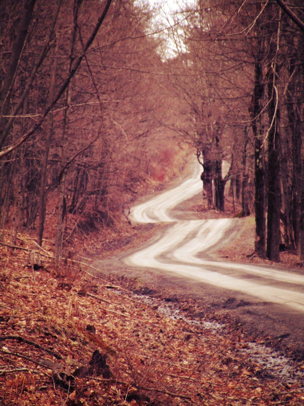 Photo: Twisty Road Down To The Hollow