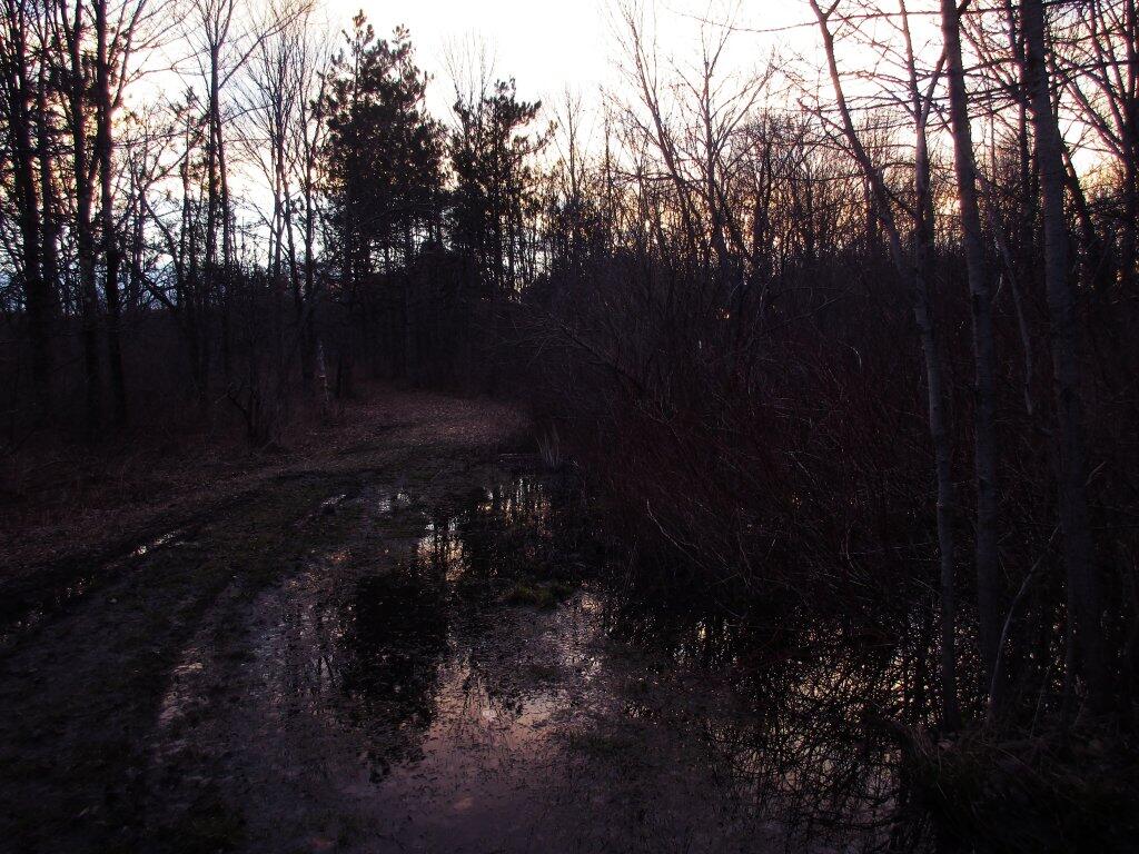 Photo: Vernal Pond