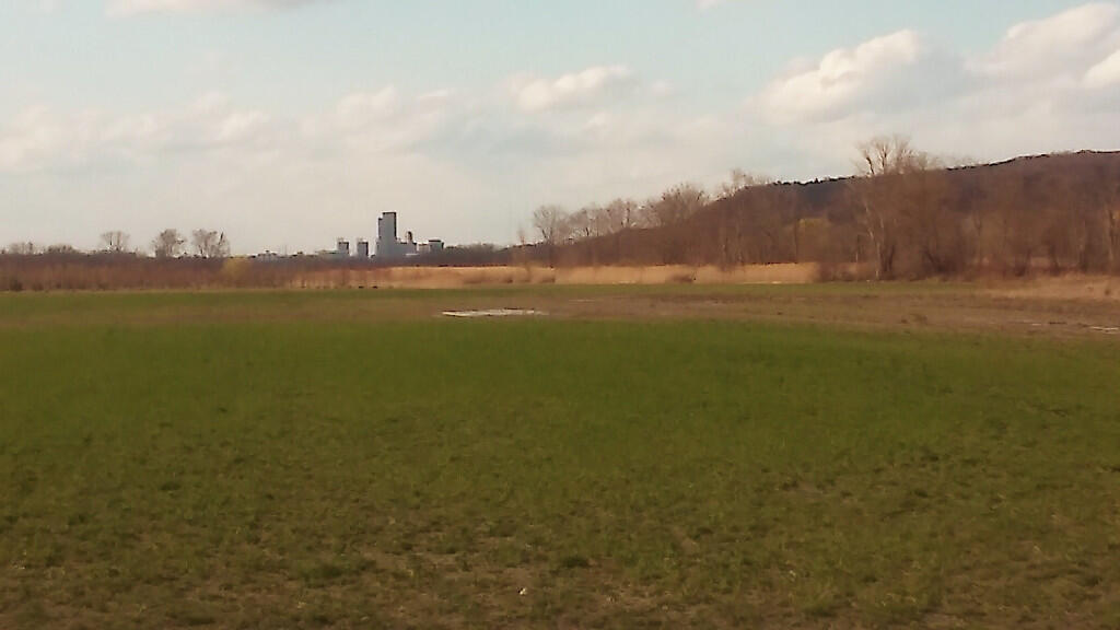 Photo: Albany Photo: Albany