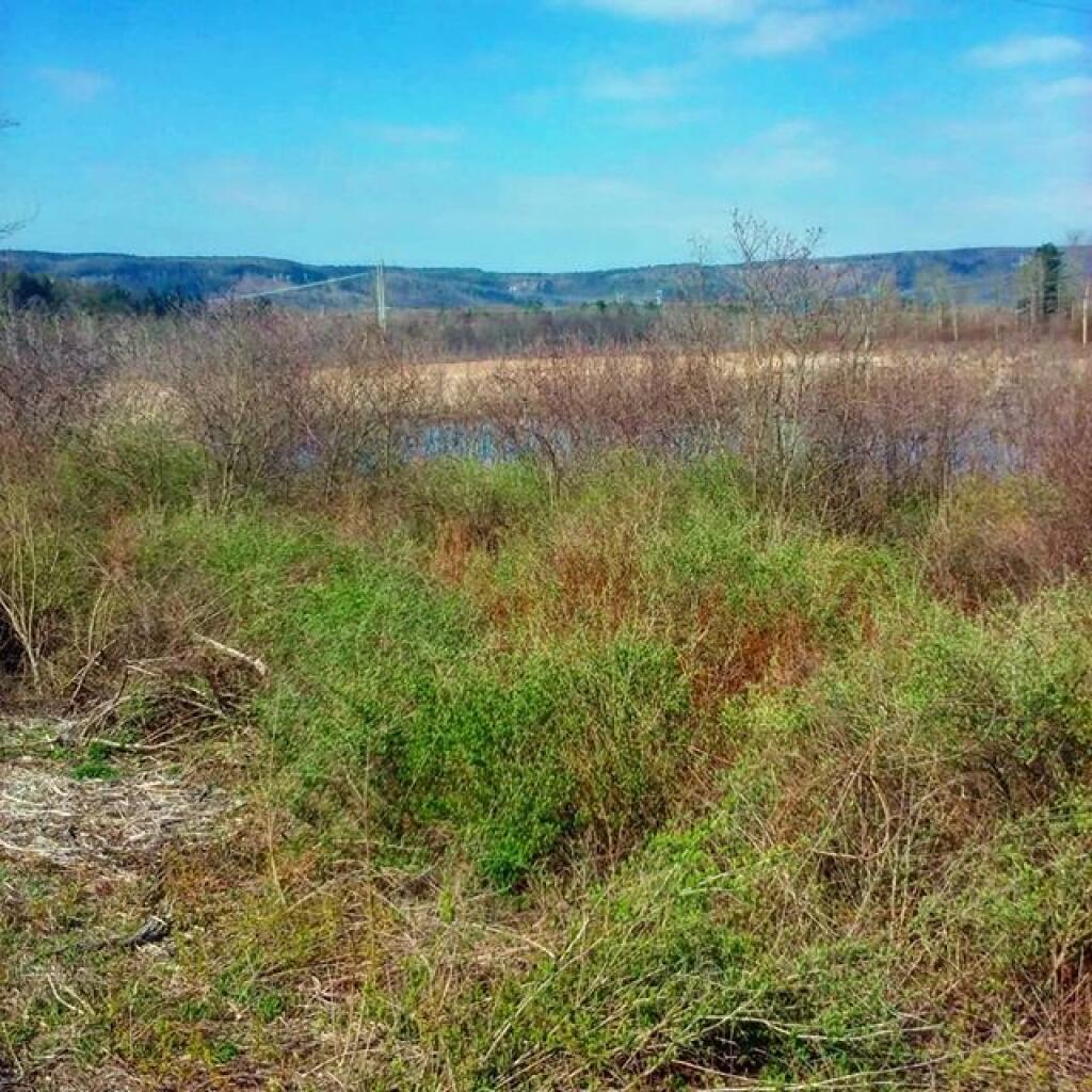 Photo: Escarpment
