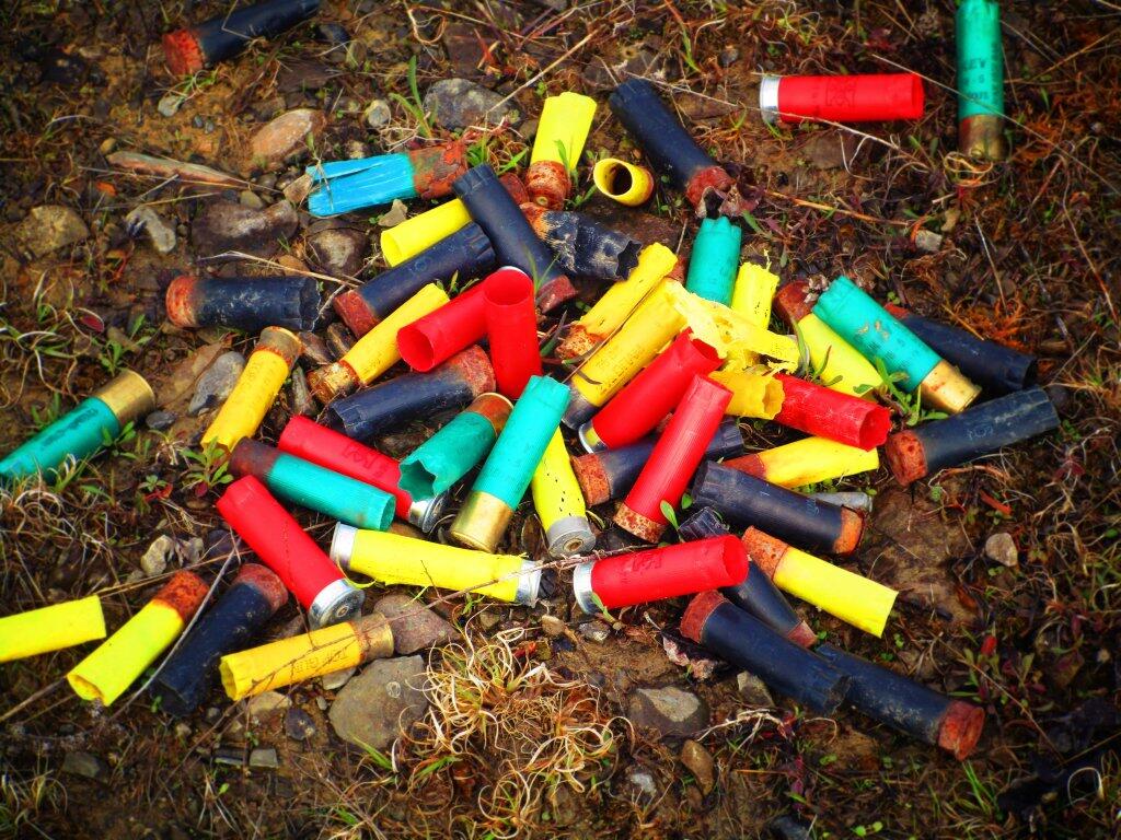 Photo: Piles Of Fun