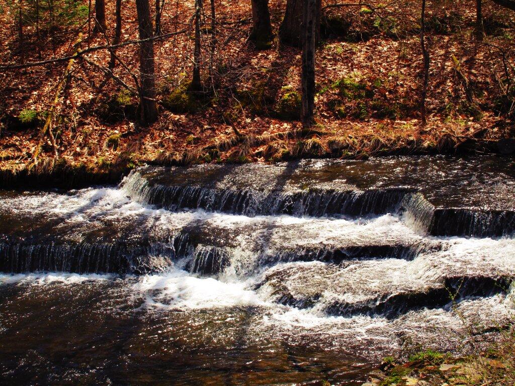 Photo: Falls Along Partridge Run Road