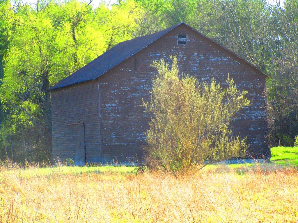 Photo: Spring Day