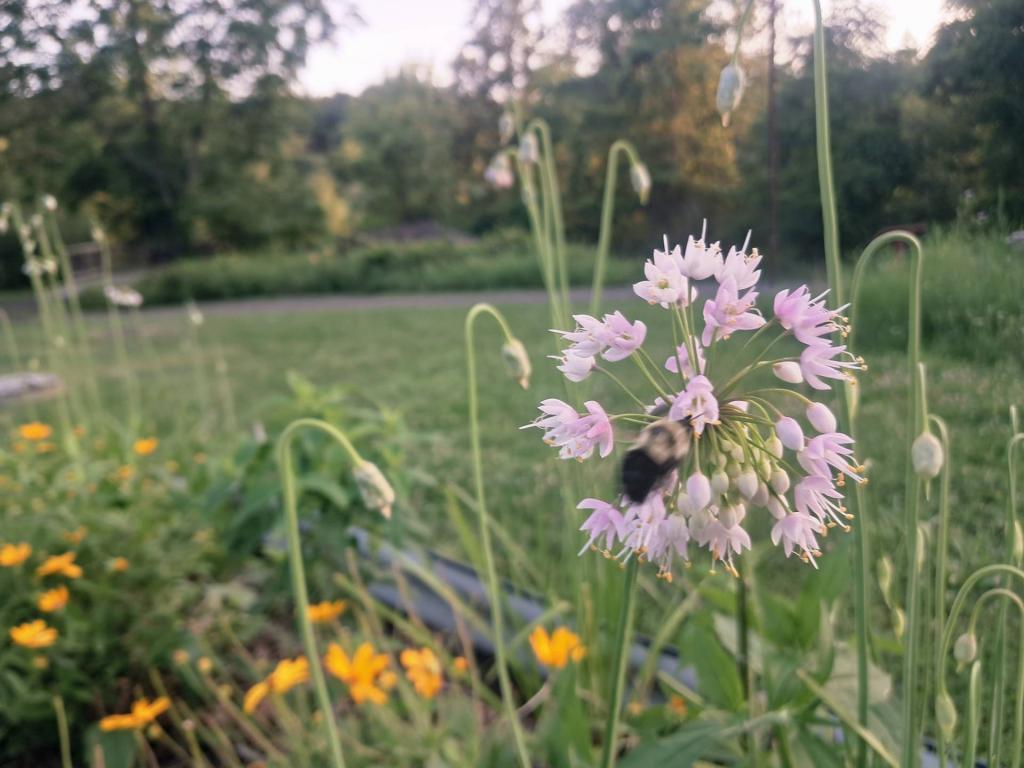 Photo: Untitled [Expires August 3 2026]