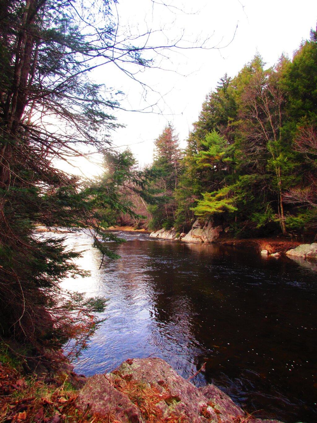 Photo: Must Be A Great Swimming Hole