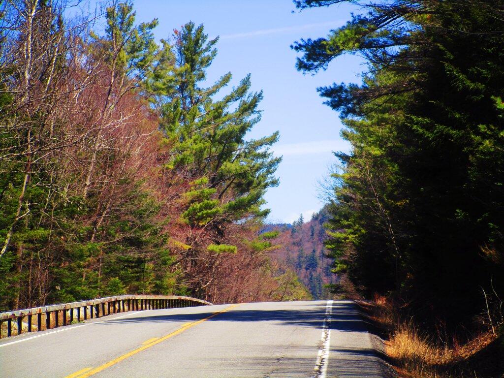 Photo: Nice Spring Day For A Walk On NY 8