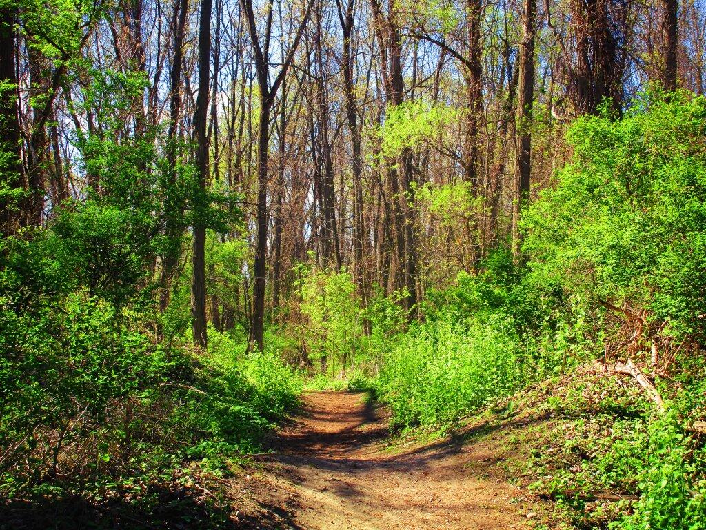 Photo: Beautiful Spring Day Photo: Beautiful Spring Day