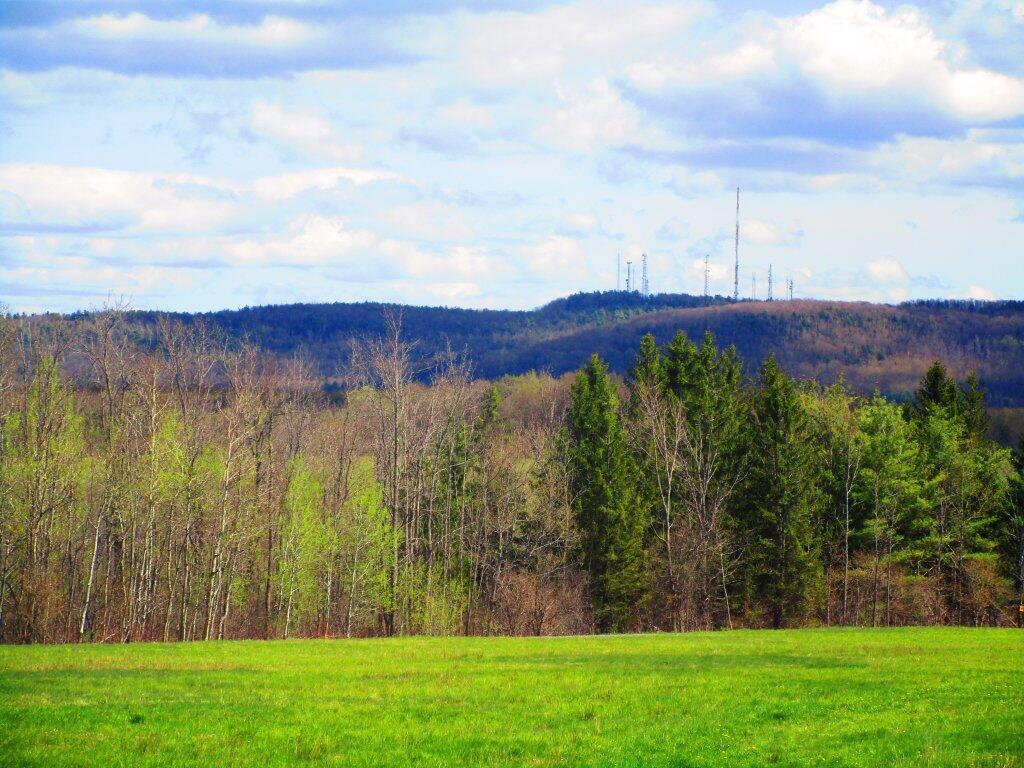 Photo: Pinacle Mountain