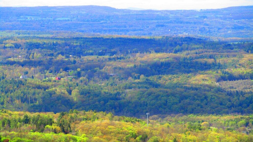 Photo: Settles Hill Photo: Settles Hill