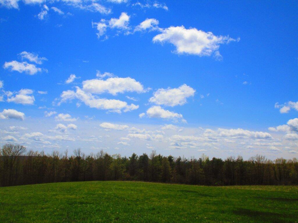 Photo: Spring Is Late
