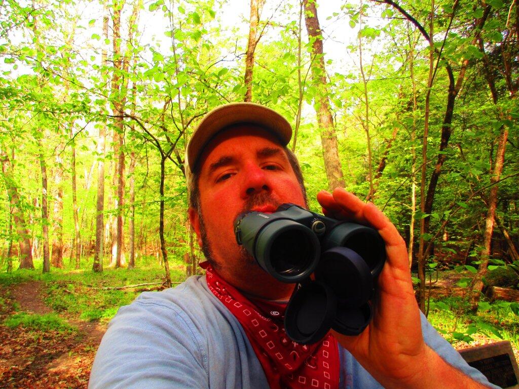 Photo: Bird Watching