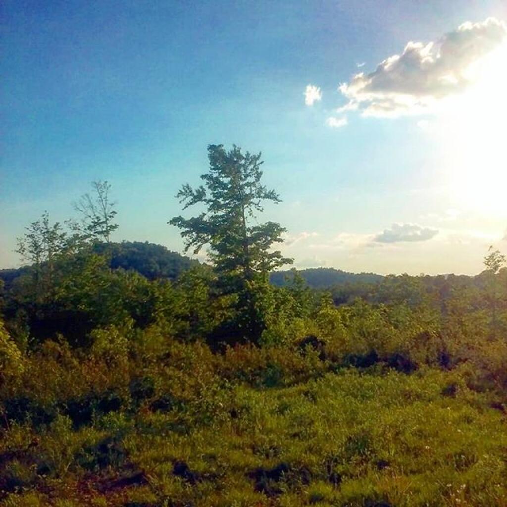 Photo: Summer evening Photo: Summer evening