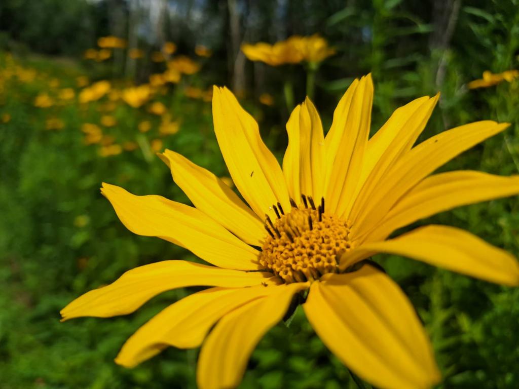 Photo: Untitled [Expires August 8 2026]