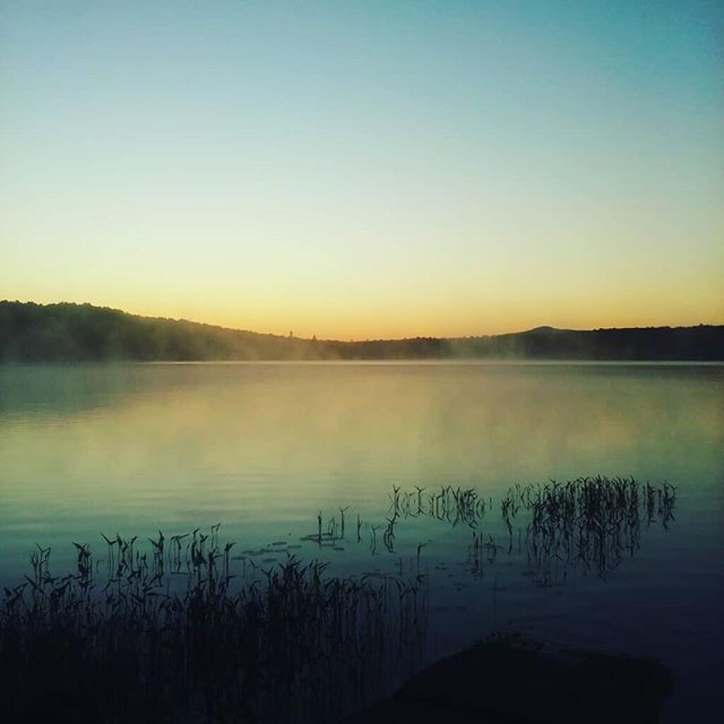 Photo: Waiting on the sun