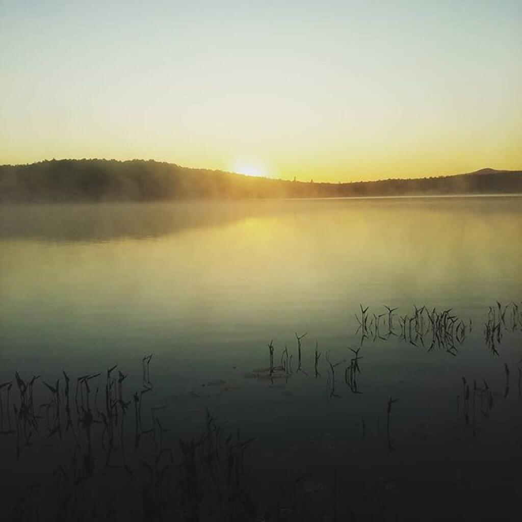 Photo: Sun, here she comes