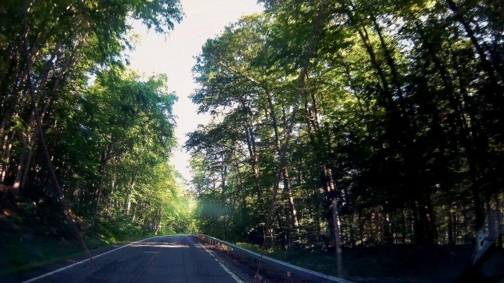 Photo: Bumpy Old NY 421