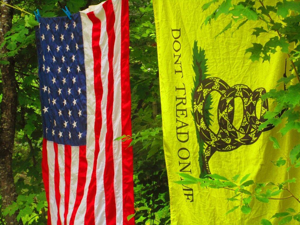Photo: Don't Tread On Me