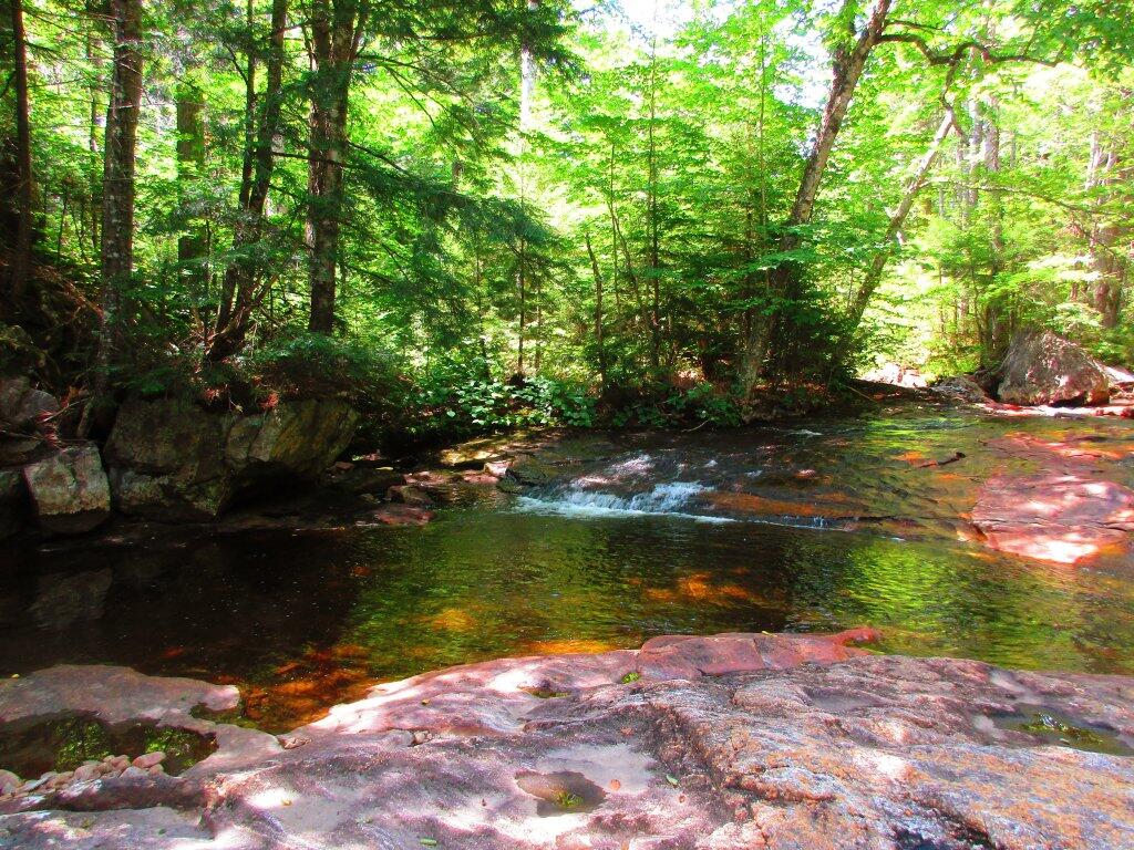 Photo: Upper Pool