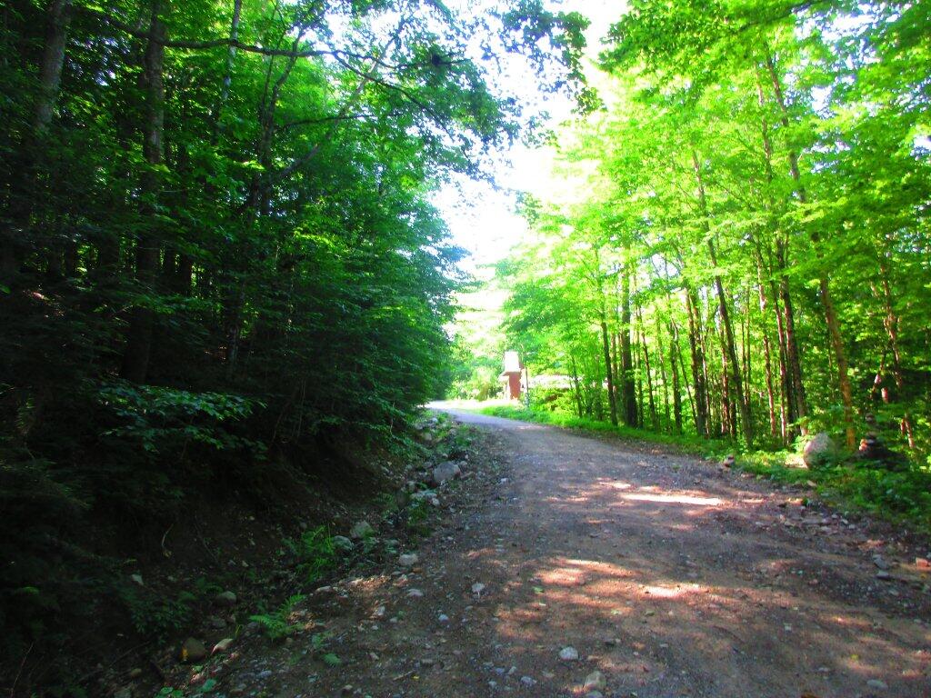 Photo: Relatively Minor Washout Beyond Campsite 1