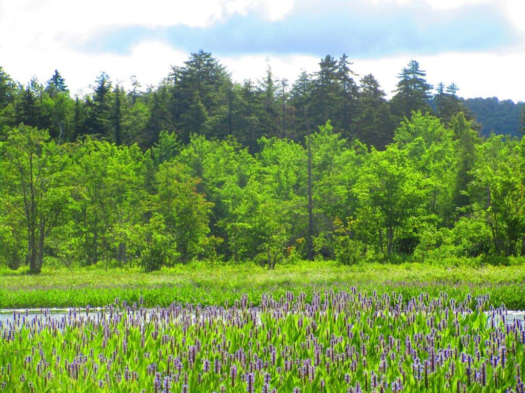 Photo: Sacandaga River