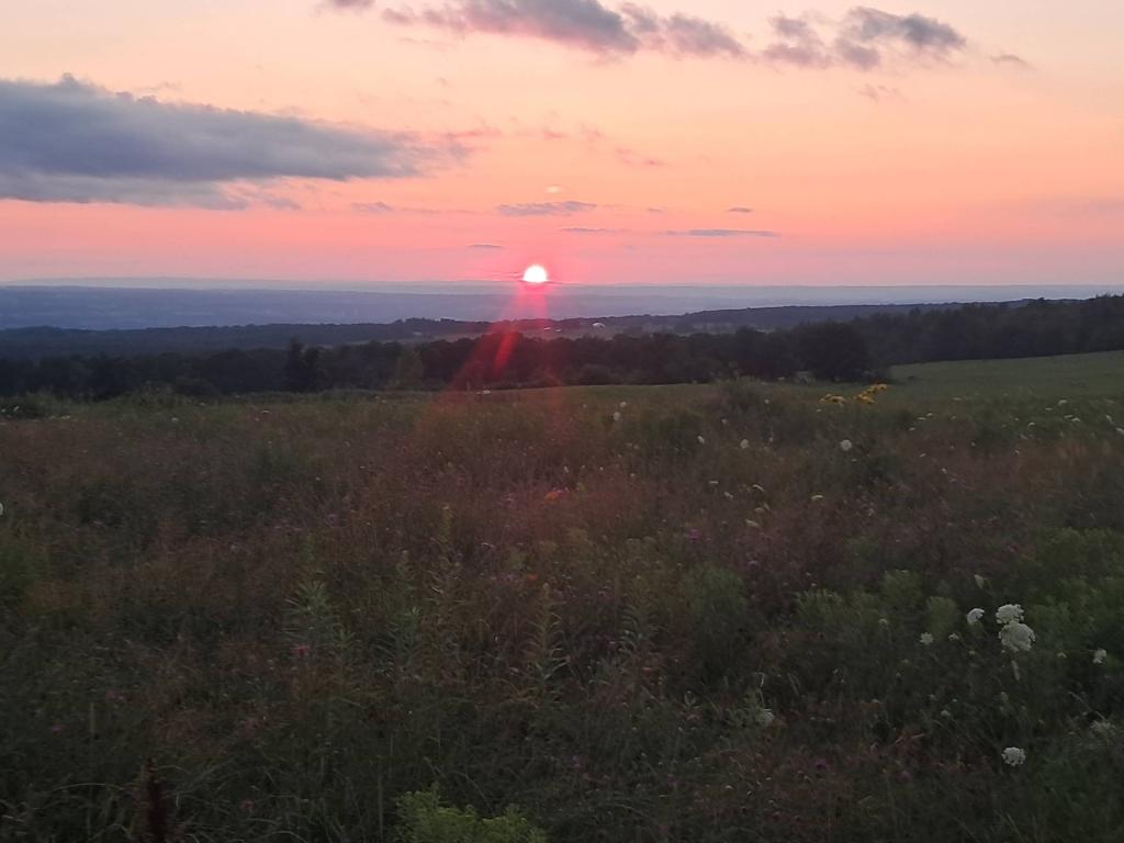 Photo: Sunset Photo: Sunset