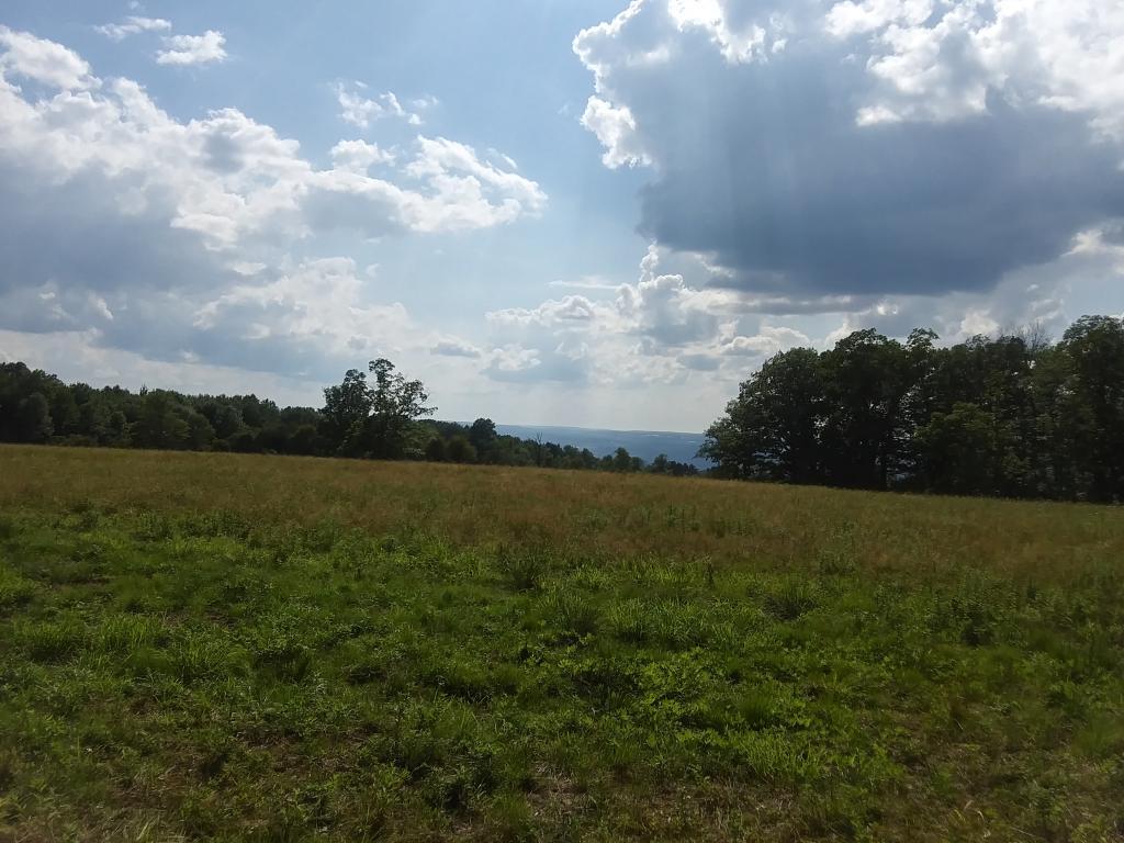 Photo: Looking west towards Seneca Lake