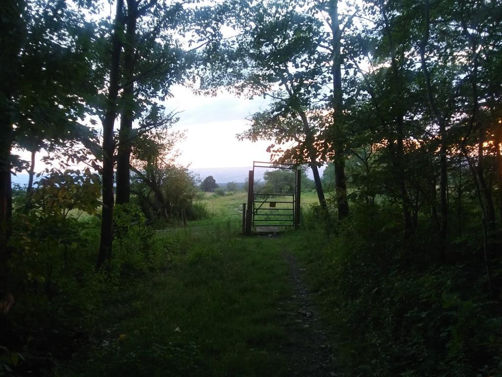 Photo: Don't forget to close the gate