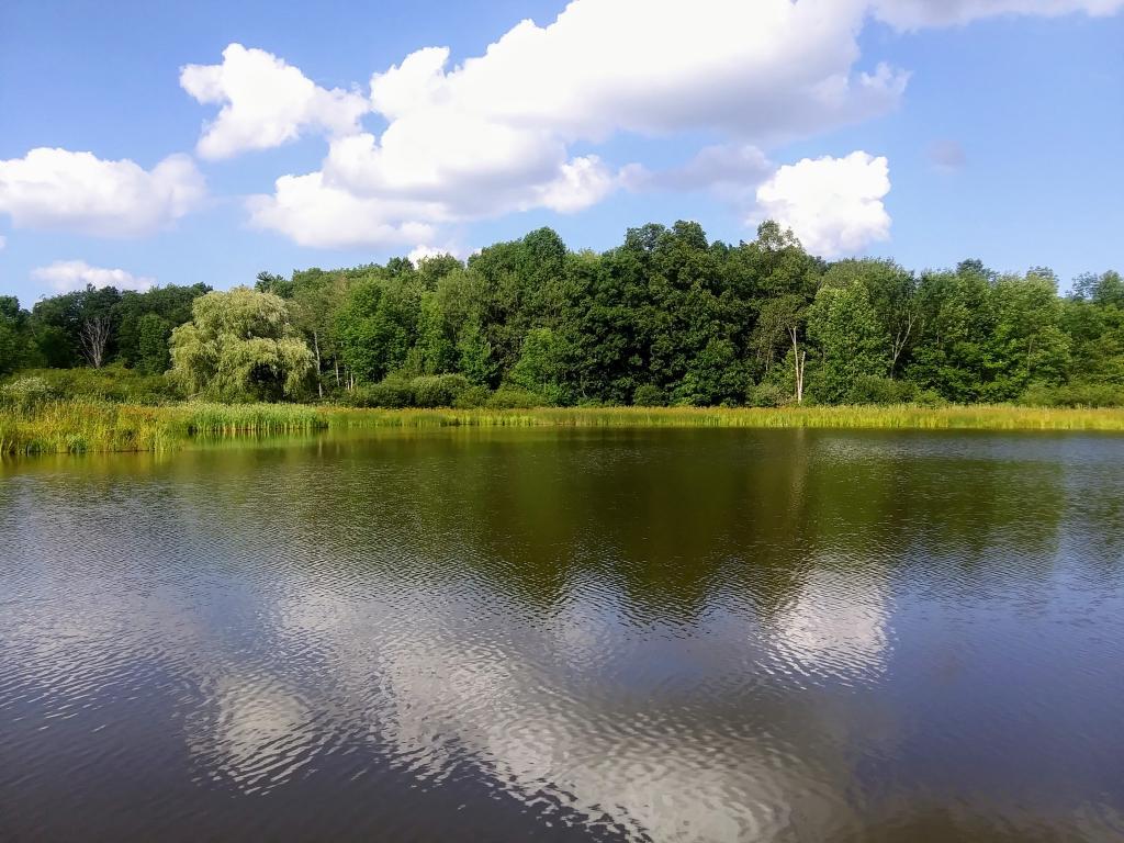 Photo: Foster Pond