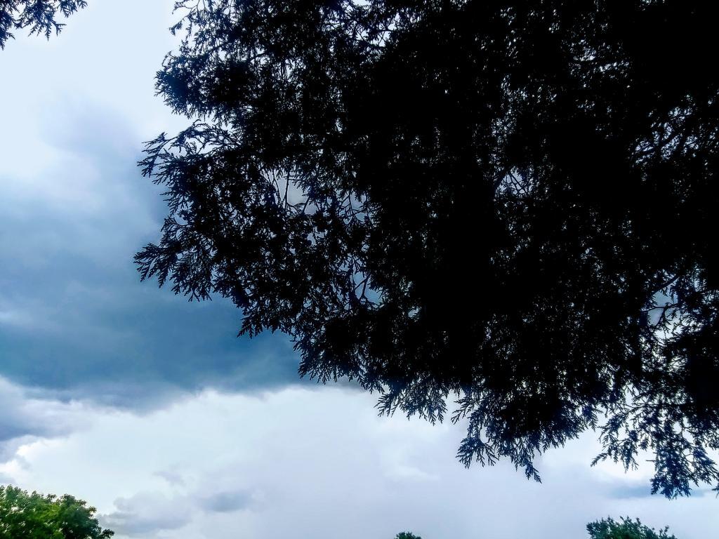 Photo: Thunderstorm