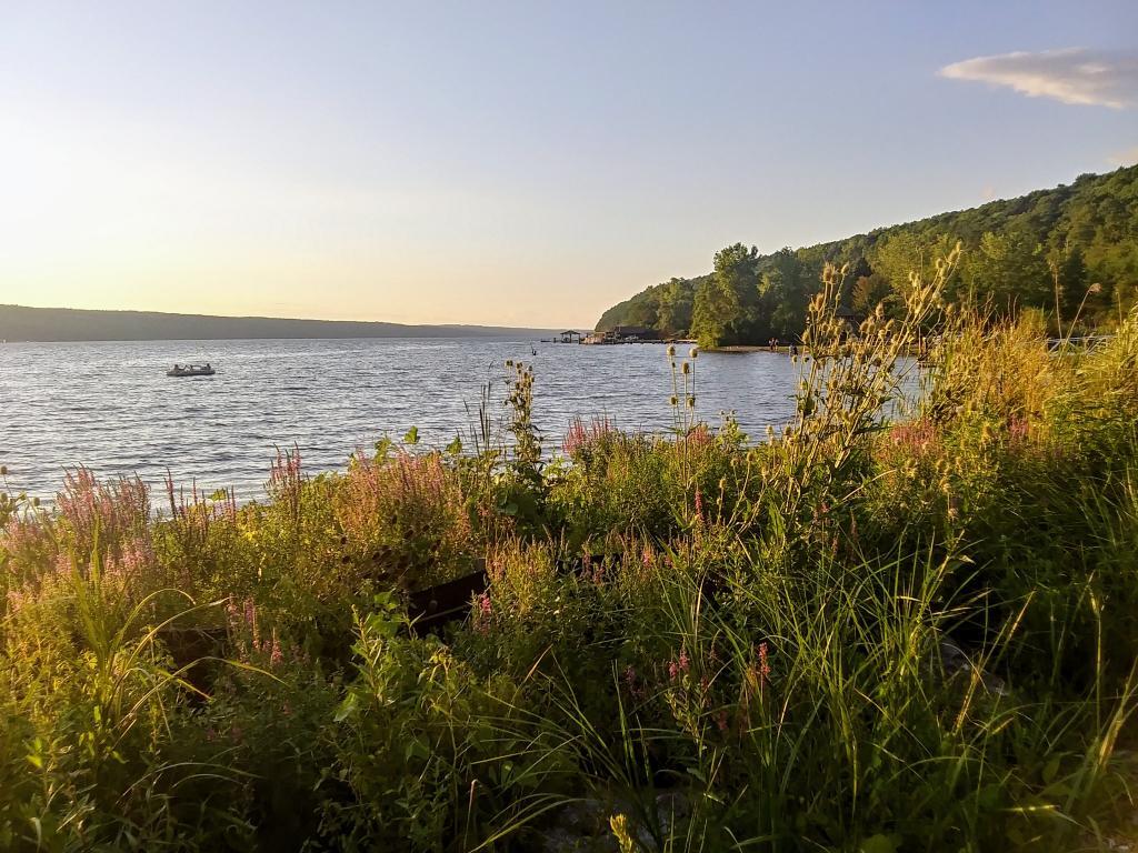 Photo: Lake Shore