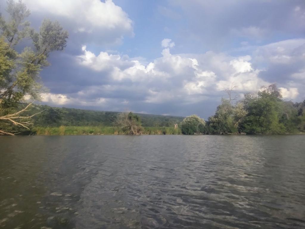 Photo: Bad Indian Swamp