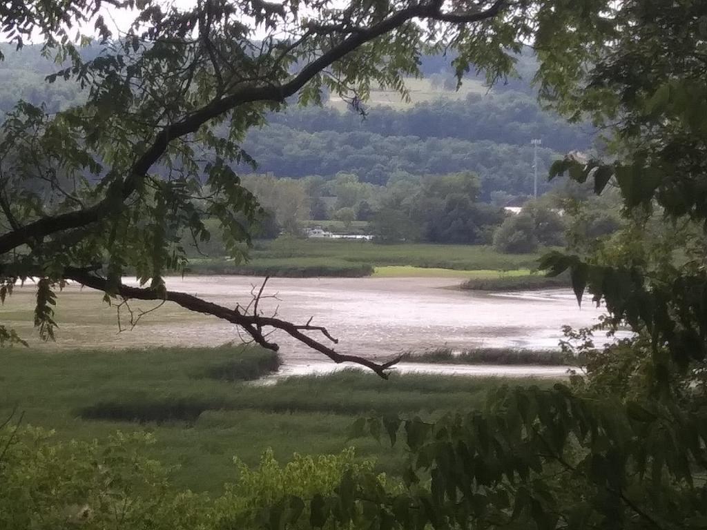 Photo: Mud Flats
