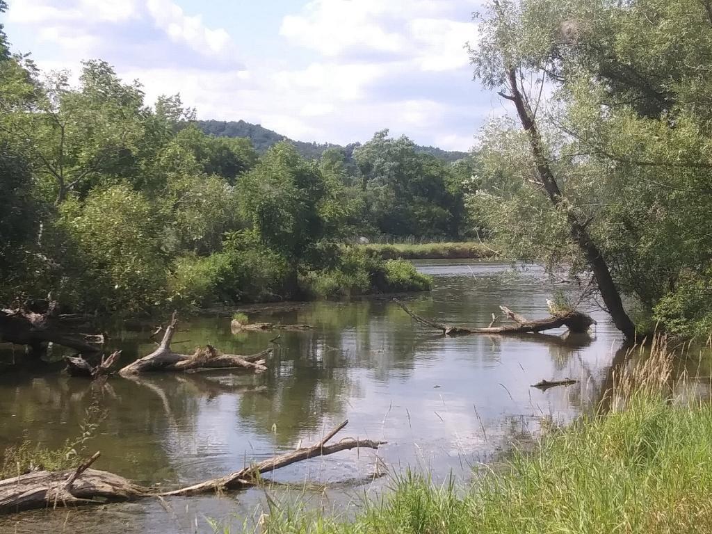 Photo: Backwater