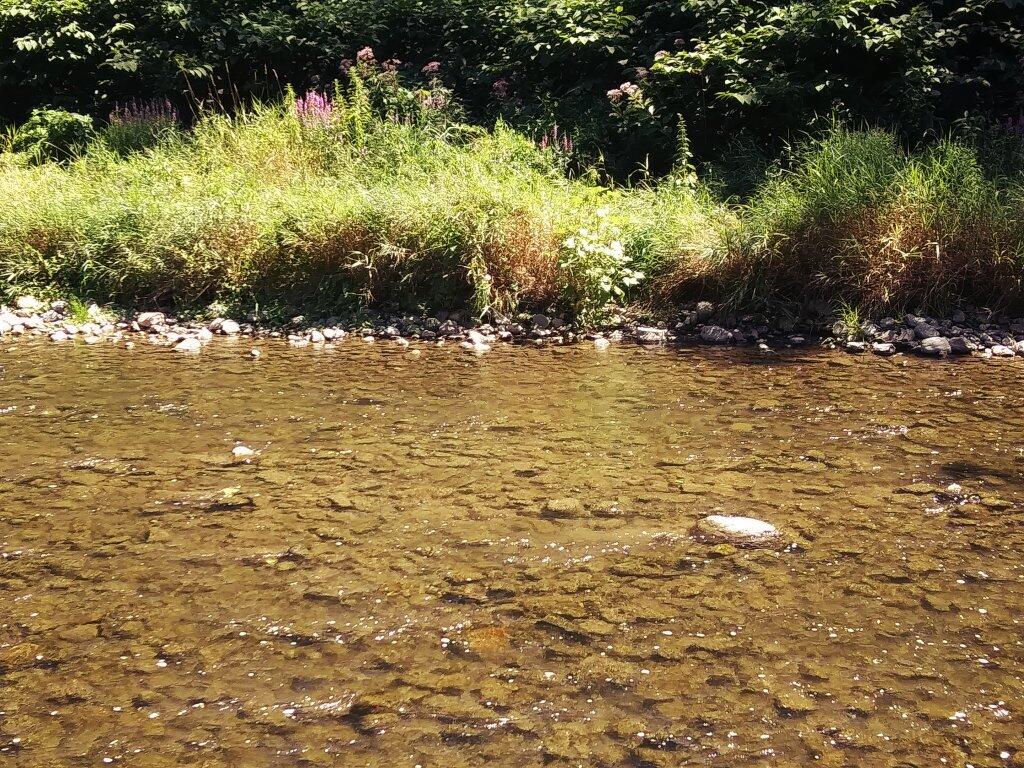 Photo: Nice Clear Water