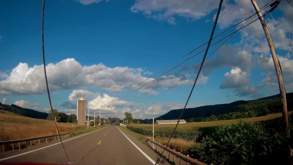Photo: East of Virgil on NY 392 Photo: East of Virgil on NY 392