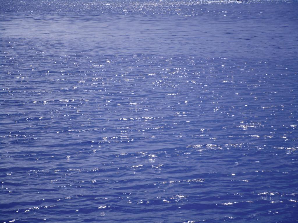 Photo: Currents Photo: Currents
