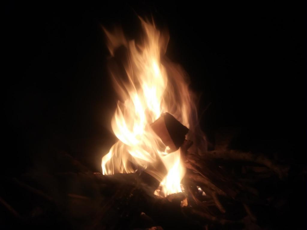 Photo: Nice campfire