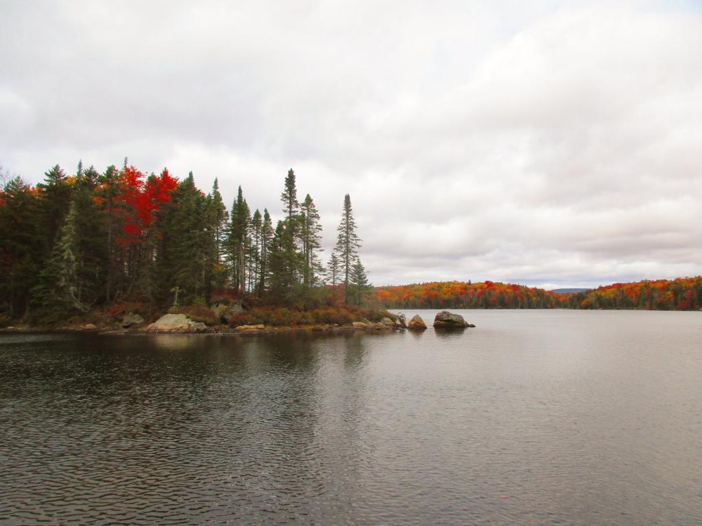Photo: Whitney Lake