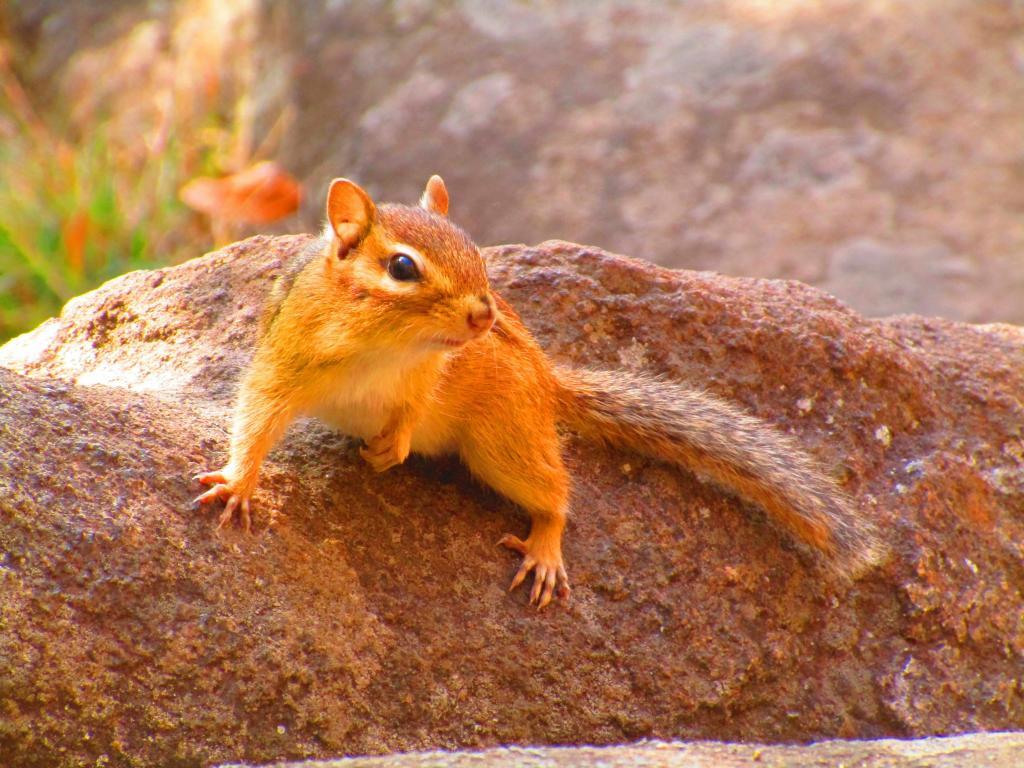 Photo: On the Ledge of Sawyer Mountain