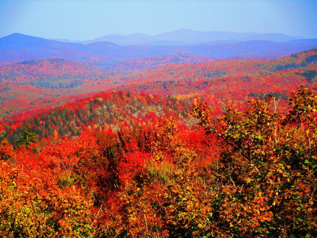 Photo: East from Sawyer Mountain