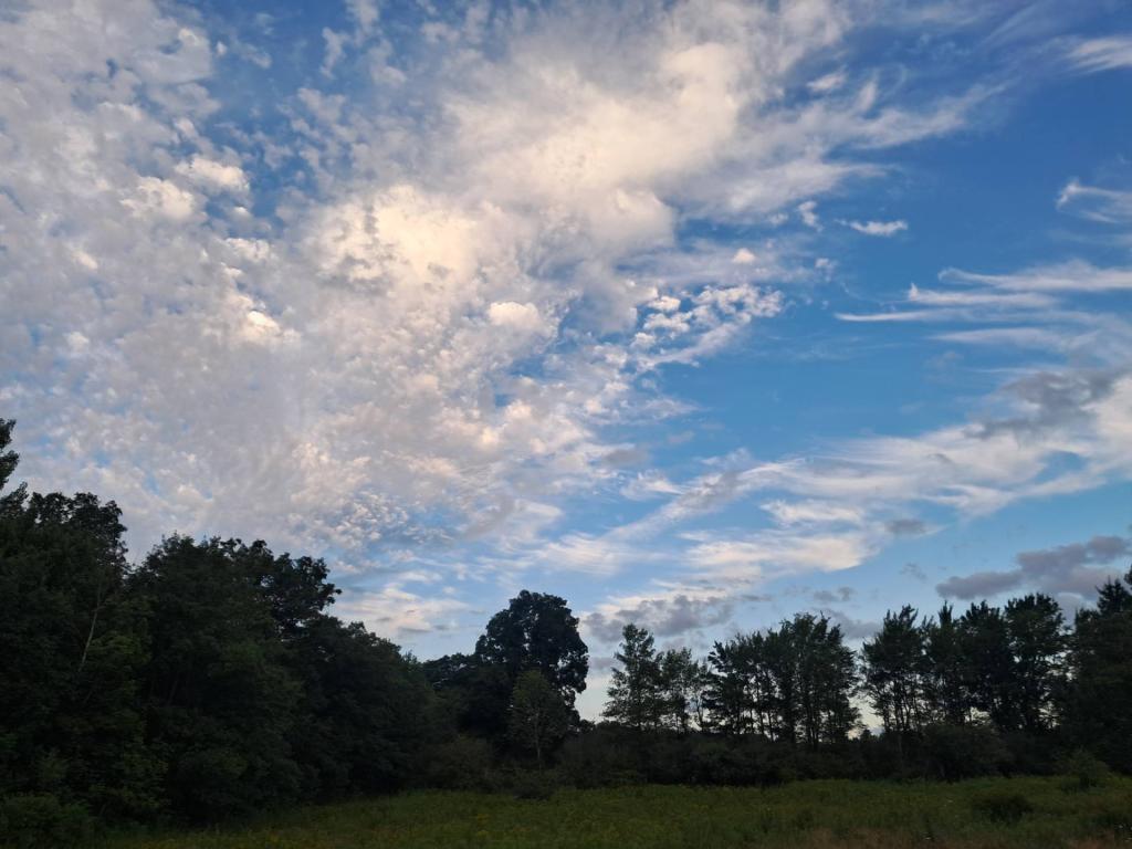 Photo: Clouds [Expires August 19 2026]