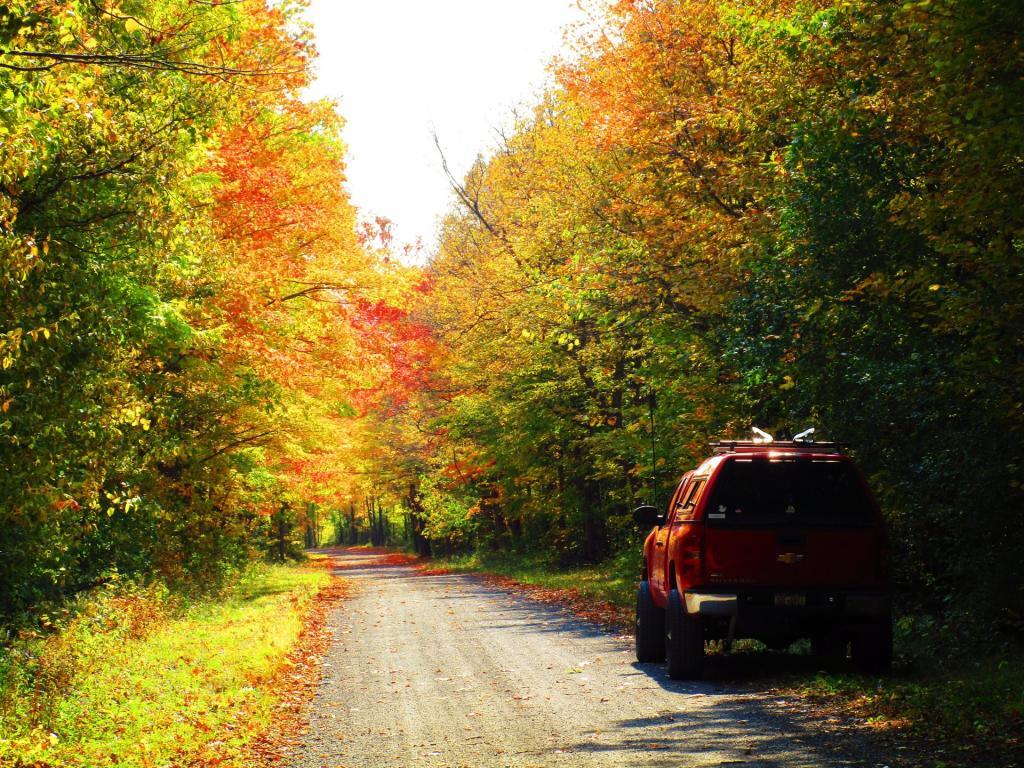 Photo: Big Red on Ryan Road